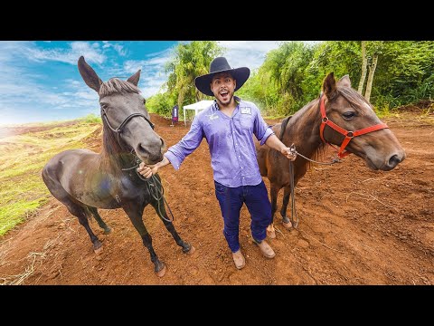 Leia mais sobre o artigo TROUXE MEUS CAVALOS PARA O ACAMPAMENTO ❤️