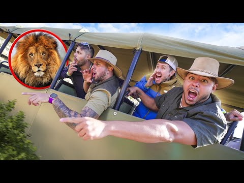 Leia mais sobre o artigo FIZ UM SAFARI COM MEUS AMIGOS