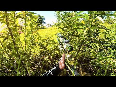 Leia mais sobre o artigo O SNIPER ATACA SILENCIOSAMENTE – HuntersWar 4 Ep-1