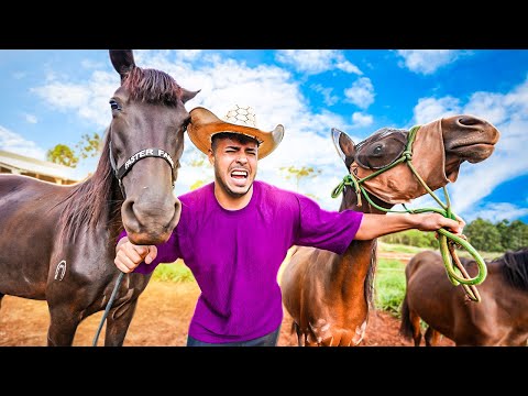 Leia mais sobre o artigo INFELIZMENTE TIVE QUE FAZER ISSO COM MEUS CAVALOS