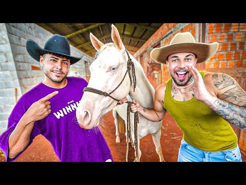 Leia mais sobre o artigo TO VENDENDO ESSE CAVALO BRANCO MUITO RARO PARA MEU AMIGO