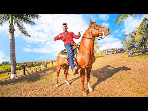 Leia mais sobre o artigo FIZ A PRIMEIRA CAVALGADA  COM MEU CAVALO NOVO