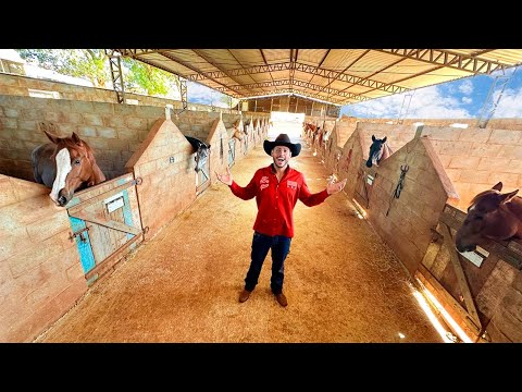 Leia mais sobre o artigo FUI EM UMA FAZENDA MILIONARIA COMPRAR UM CAVALO