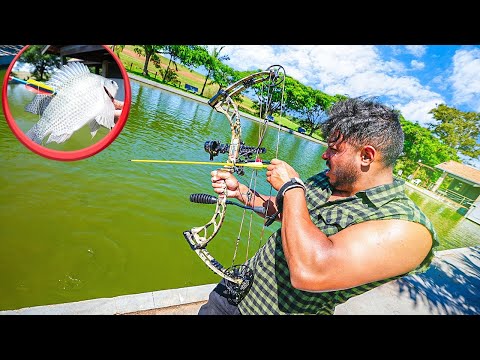 Leia mais sobre o artigo PESCANDO COM MEU NOVO ARCO E FLECHA NA REPRESA DA FAZENDA