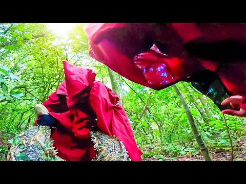 Leia mais sobre o artigo O LEO FOI PEGO PELOS OCULTISTAS DO VELHO SATANICO E O PIOR ACONTECEU
