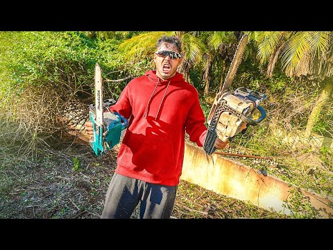 Leia mais sobre o artigo O JARDIM DA NOSSA MANSÃO ABANDONADO TA MUITO DIFICIL DE ARRUMAR
